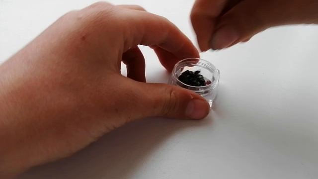 VID_20260420_182938.mp4