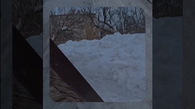 1000056727.mp4 (Собака наблюдает за устройством лестницы на 2-ой этаж в доме А-фрейм)