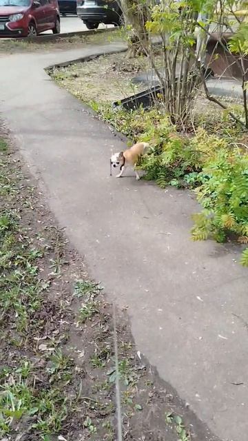 У Сени все отлично 🫶