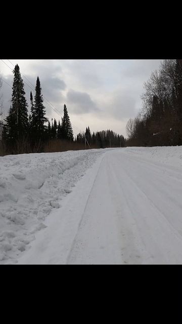 «Легенда рыжей тени»
