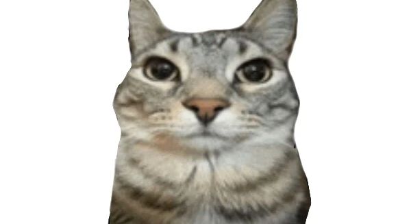 Новая обстановка в магазе