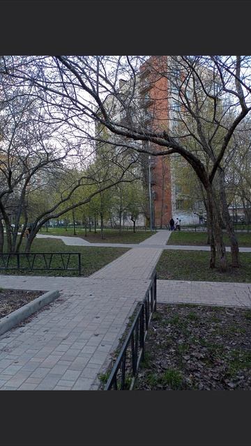 Тактический урбанизм РФ
#тактическийурбанизм #пересадкадеревьев #спб