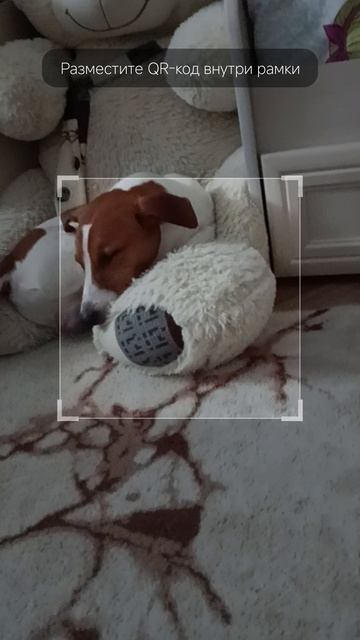 До конца 😀