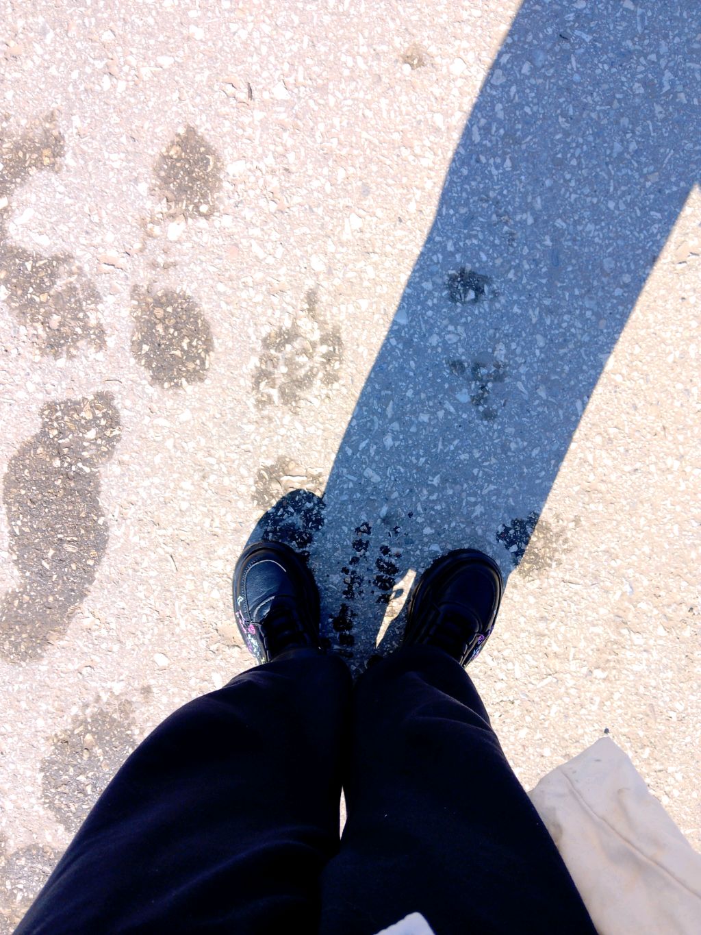 Спасибо за 243 подпищека ✰