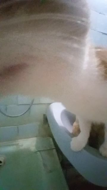 милашки😍😻