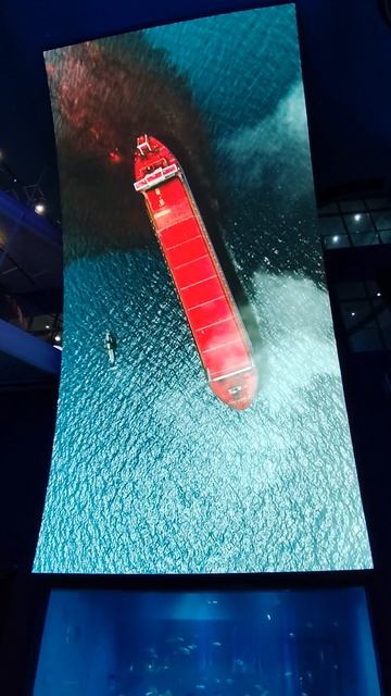 Музей Мирового океана.mp4