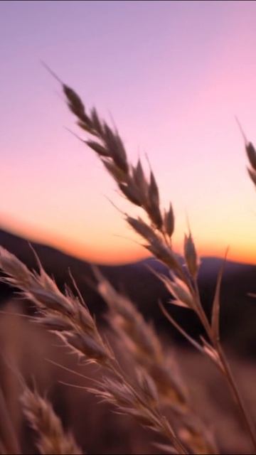 Bdefe3827020d11dc6eb28a012e5b406