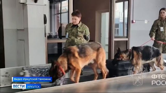 Контрабанду 30 000 долларов пресекли в Международном аэропорту Иркутска