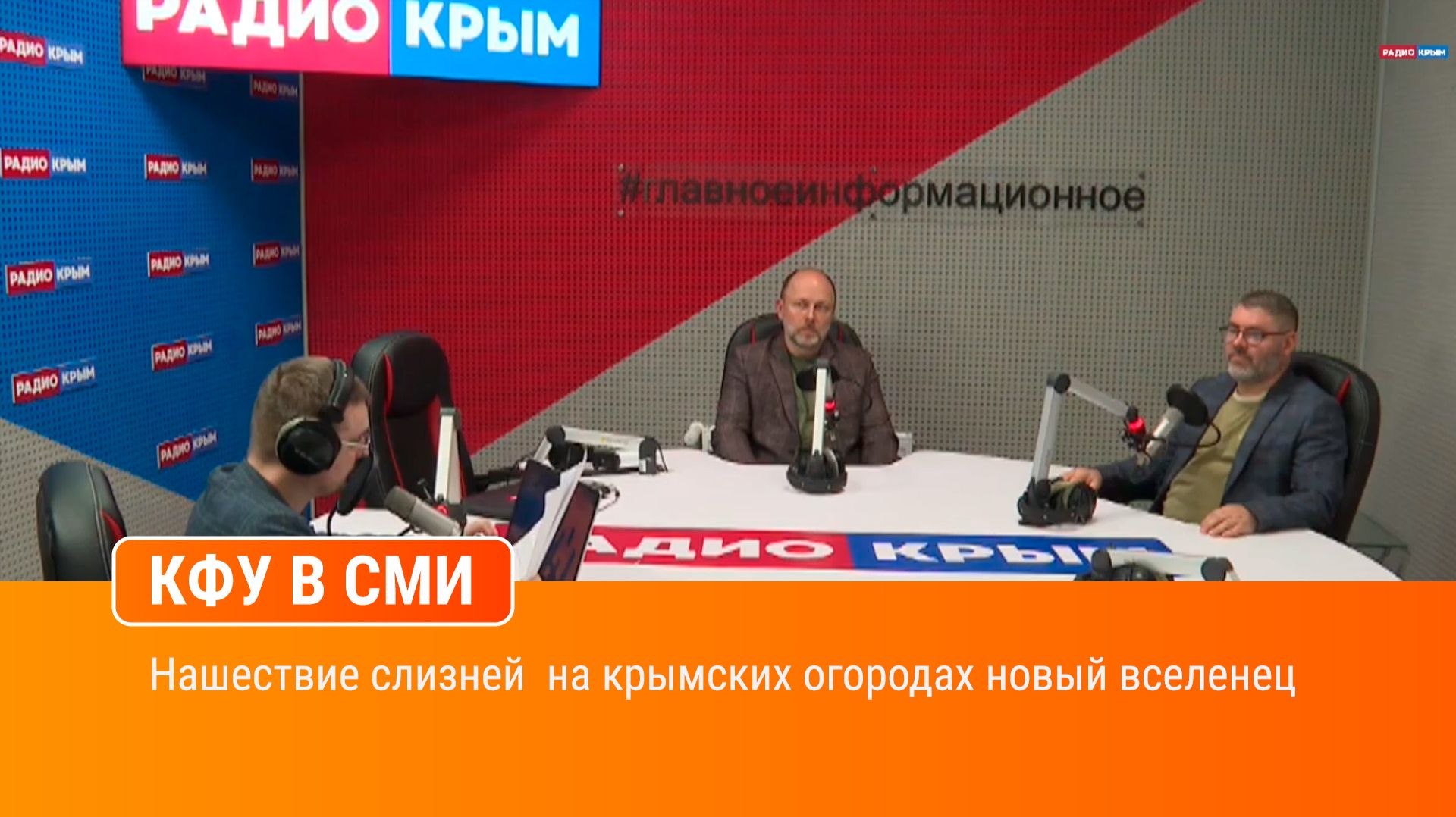 Нашествие слизней  на крымских огородах новый вселенец