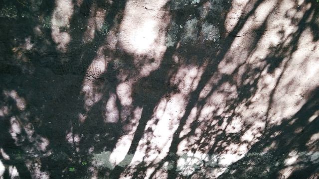 П. Коэльо. О беседах со злом. Притча 63. Книга Воина Света