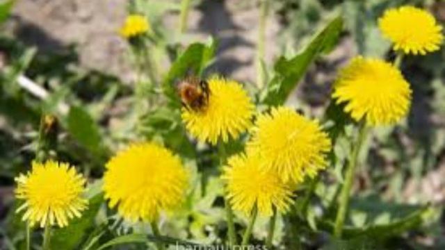 22 апреля - Вадим Ключник. Народные приметы и традиции