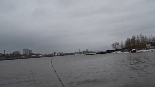 Страдания на покидушках🫠 Daiwa Silver creek air tw stream custom/Tailwalk Troutia Feerique C50L-T