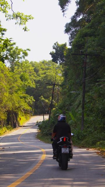 как новичку начать делать Вилли