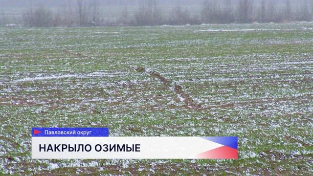 Аграрии Нижегородской области не считают снегопады большой угрозой для посевов