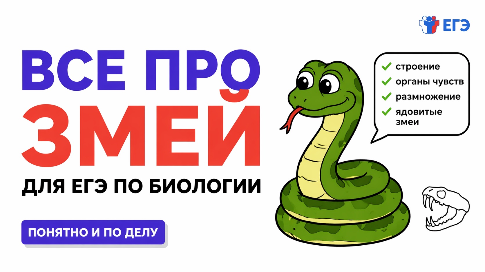 ЗМЕИ ДЛЯ ЕГЭ ПО БИОЛОГИИ