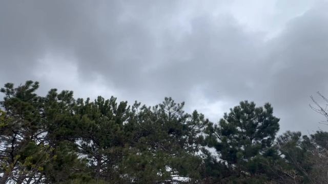 А у нас сегодня пасмурно ...