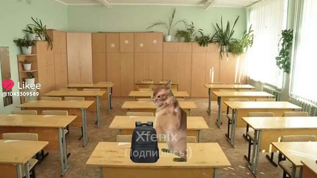 используйте