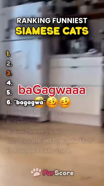 [FurScore] - Last one is the cutest thing you'll see today ❤️🔥