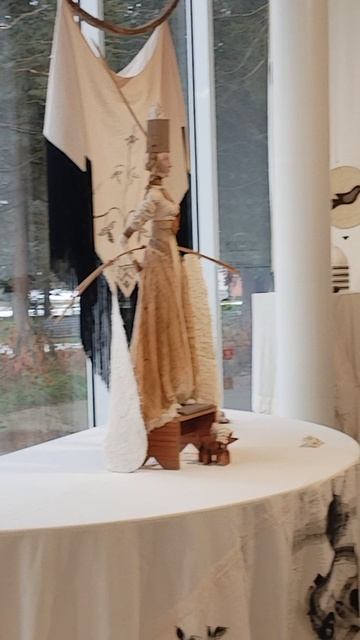 VID_20260110_150539.mp4