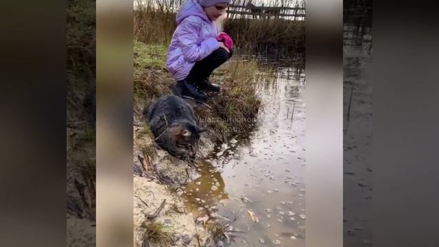 71ad849b8309564f1a4c0dc80fc66f47_532350_1775806548.mp4