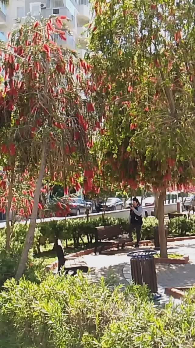 20 апреля МАХМУТЛАР.ТУРЦИЯ 2026.