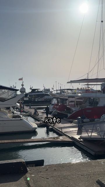 Всем советую🦎