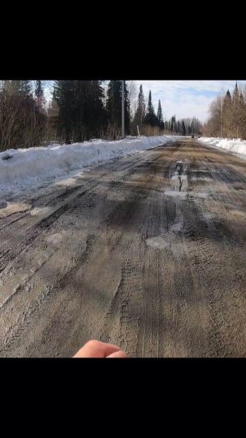 «Монстры в деле»