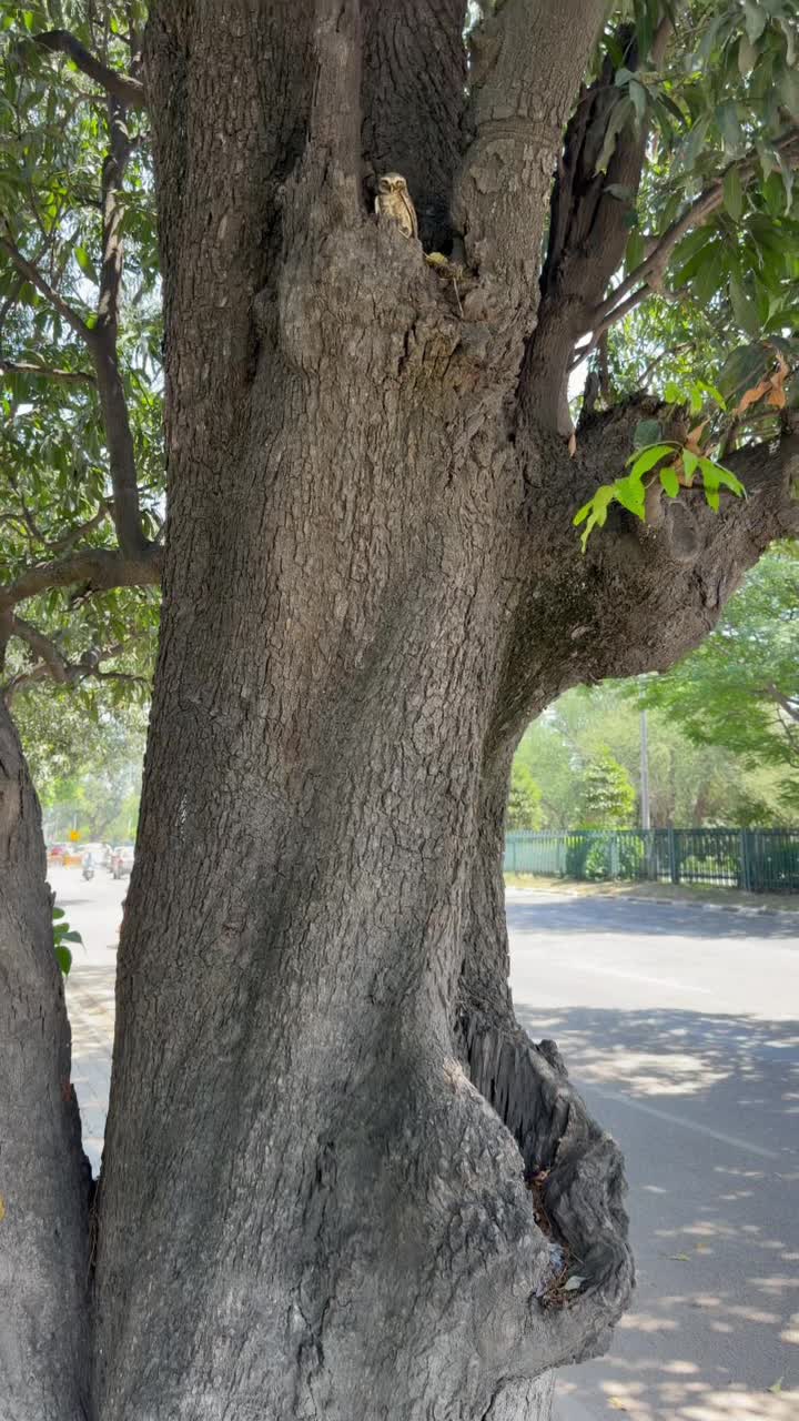 Кто меня встретил в новом городе?