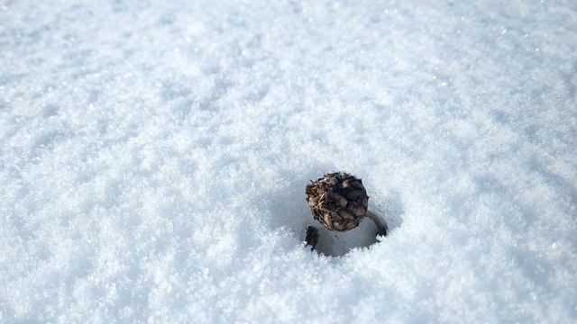 П. Коэльо. Об утрате веры. Притча 50. Книга Воина Света.