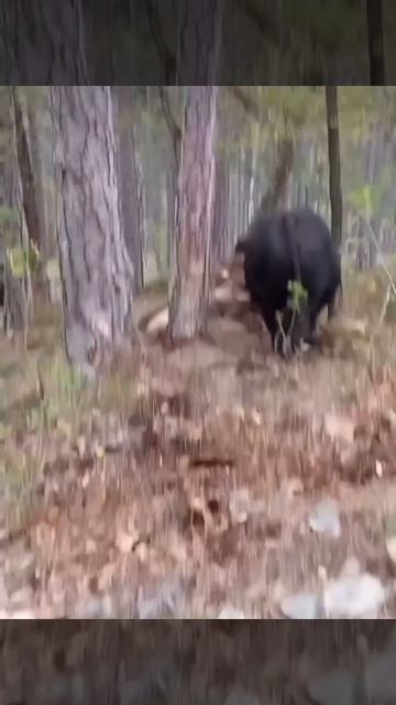 127f8904aceb955d93d52001defe3835_532350_1775806549.mp4