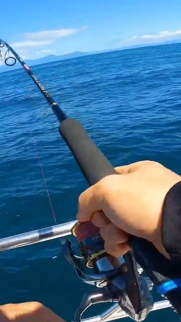 Видео от За Трофеем: Охота и Рыбалка