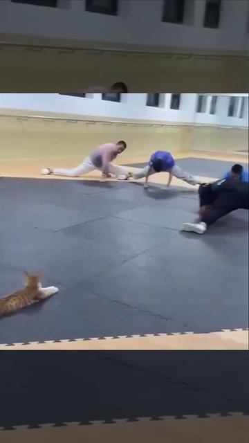 Тренер очень недоволен этими новичками