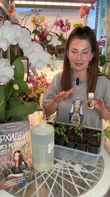 Как спасти рассаду томатов