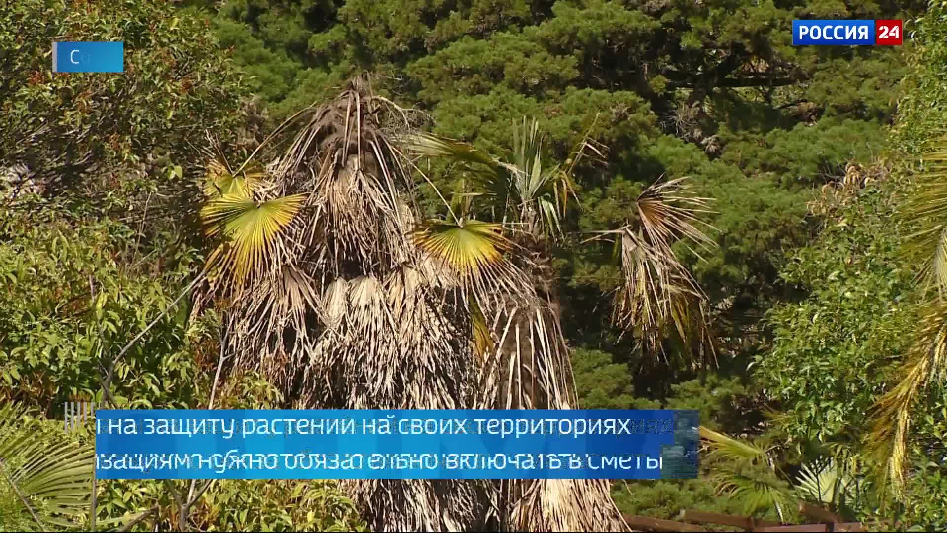 21.04.2026 Вести Сочи 17:30