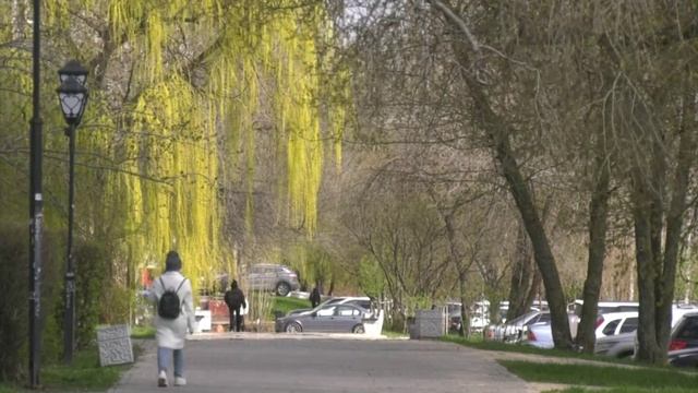 Батареи воронежцев вновь потеплеют