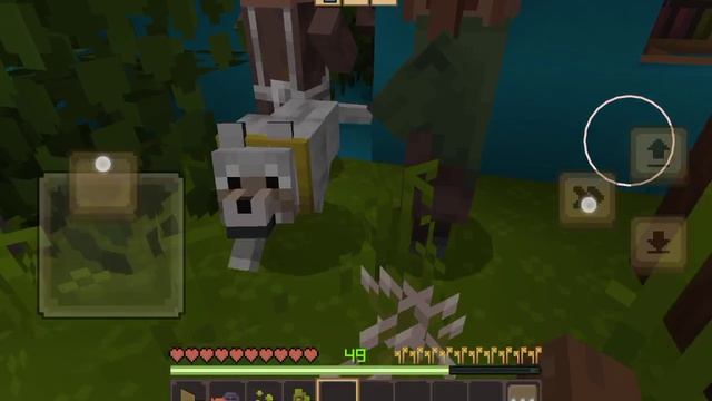 Почему моей собаке плохо? в Майнкрафте