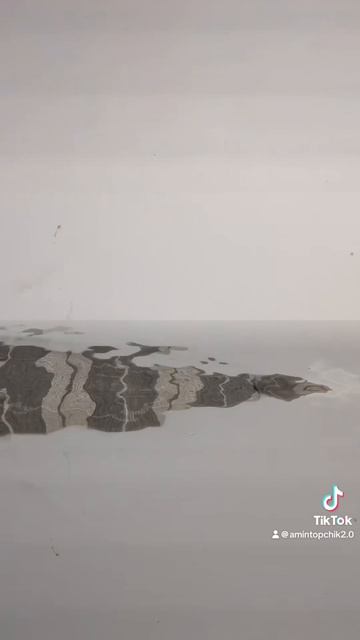 Играю в ныряние в воду