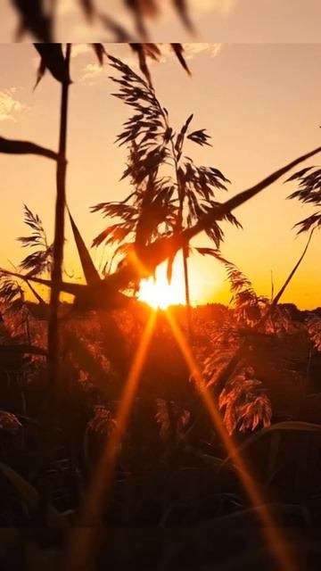 De5ee5d1e0c917dc53e69d7611ceb270