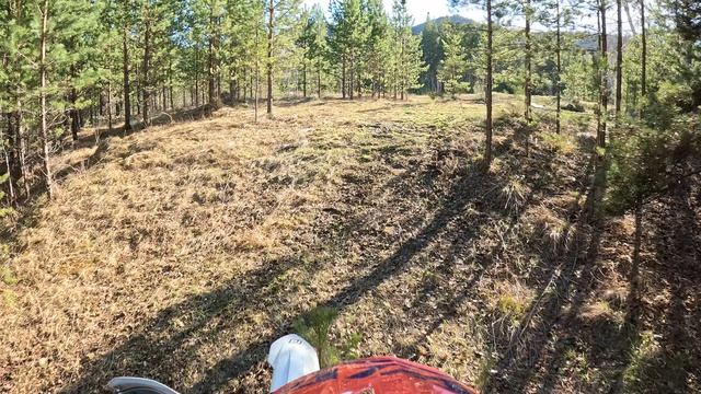 Нурали 2026 апрель