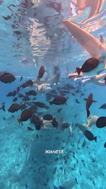 Я никого не заставляю делиться эмоциями и сказать как было круто😂 Девочки искренне делятся тем, ч...