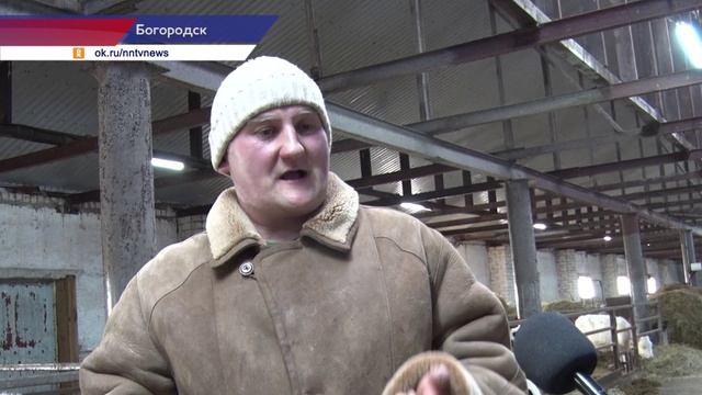 Оператор животноводческого комплекса на Лакшинской ферме рассказал о своей работе