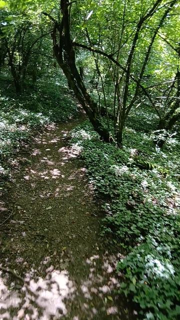 Тропинки идут петляя по горе Медведь на Черном Море в Архипо-Осиповке