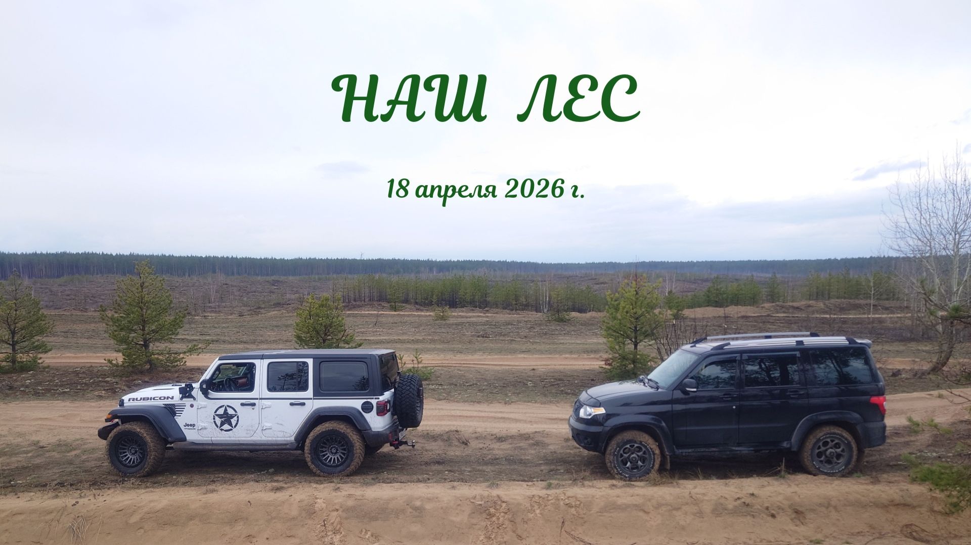 Наш лес. Апрель 2026.