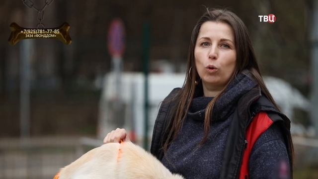 Озорная Луна