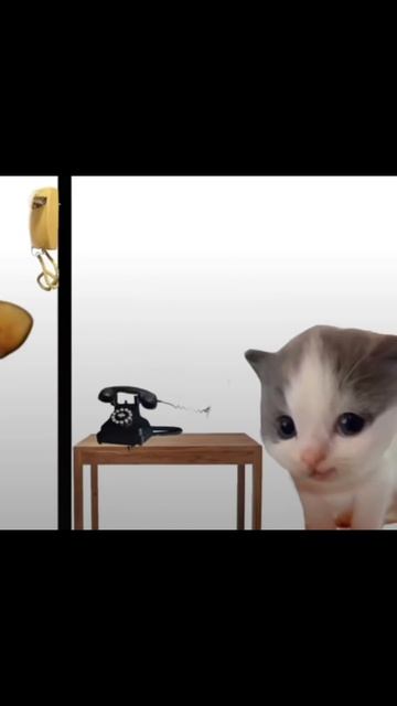 шпилли вилли *эдит*