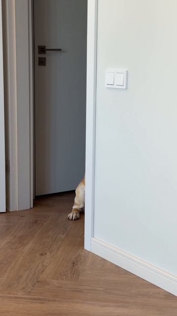 Хотел спрятаться😁