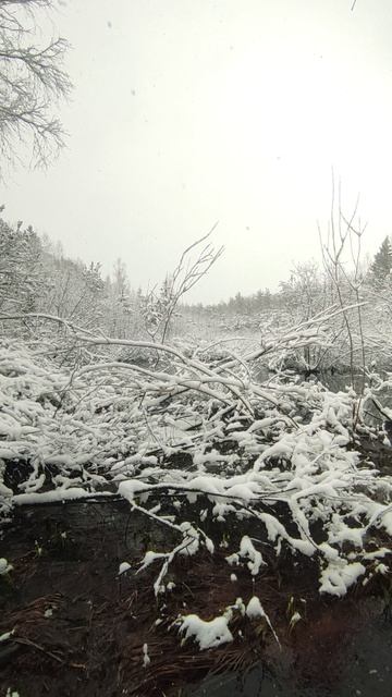 20 Апреля 2026