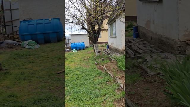 СТ Биолог участок 66