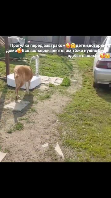 20 апреля 2026 г.