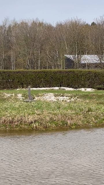 ОГАРЬ ( красная утка )